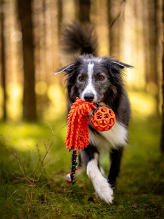 Z Alpské dovolenky už jsem zpět. Odpočnutá, vychozená, vyježděná na kole😄 Takže šupem do práce💪🏻 Chtěla bych vám moc...