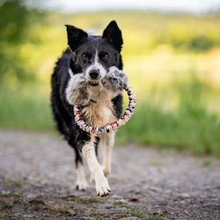 Kroužky jsem do nabídky přidala nedávno, ale hned se vyhouply mezi top nejprodávanější produkty👌🏻❤️ Pořídit si je můžete v...