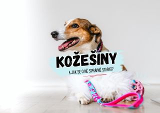 Jak se starat o hračky s kožešinou? Motivační hračky s kožešinami psi naprosto milují. Protože je ale kožešina přírodní...