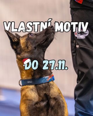 Doručení do Vánoc u produktů s vlastním motivem (tzn. Klubové sety, obojky se jmény, chovatelské sety)🎄 Deadline...