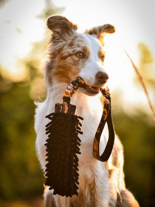 Motiv lišek v záři zapadajícího slunce🌇 #hoaxxcz #handmade #hrackypropsy #motivacnihracky