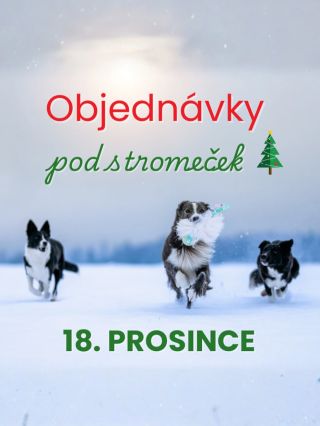 A je to tu! První adventní neděle za námi, nákupy dárků před námi a já jdu s datem posledních objednávek, které stihnu...